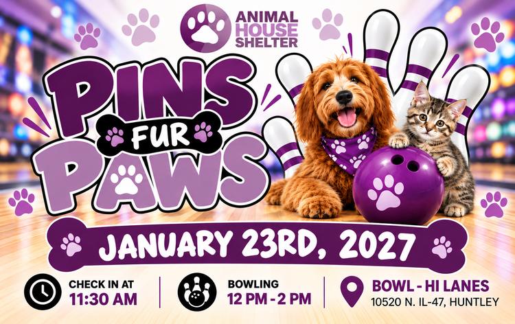 pins fur paws