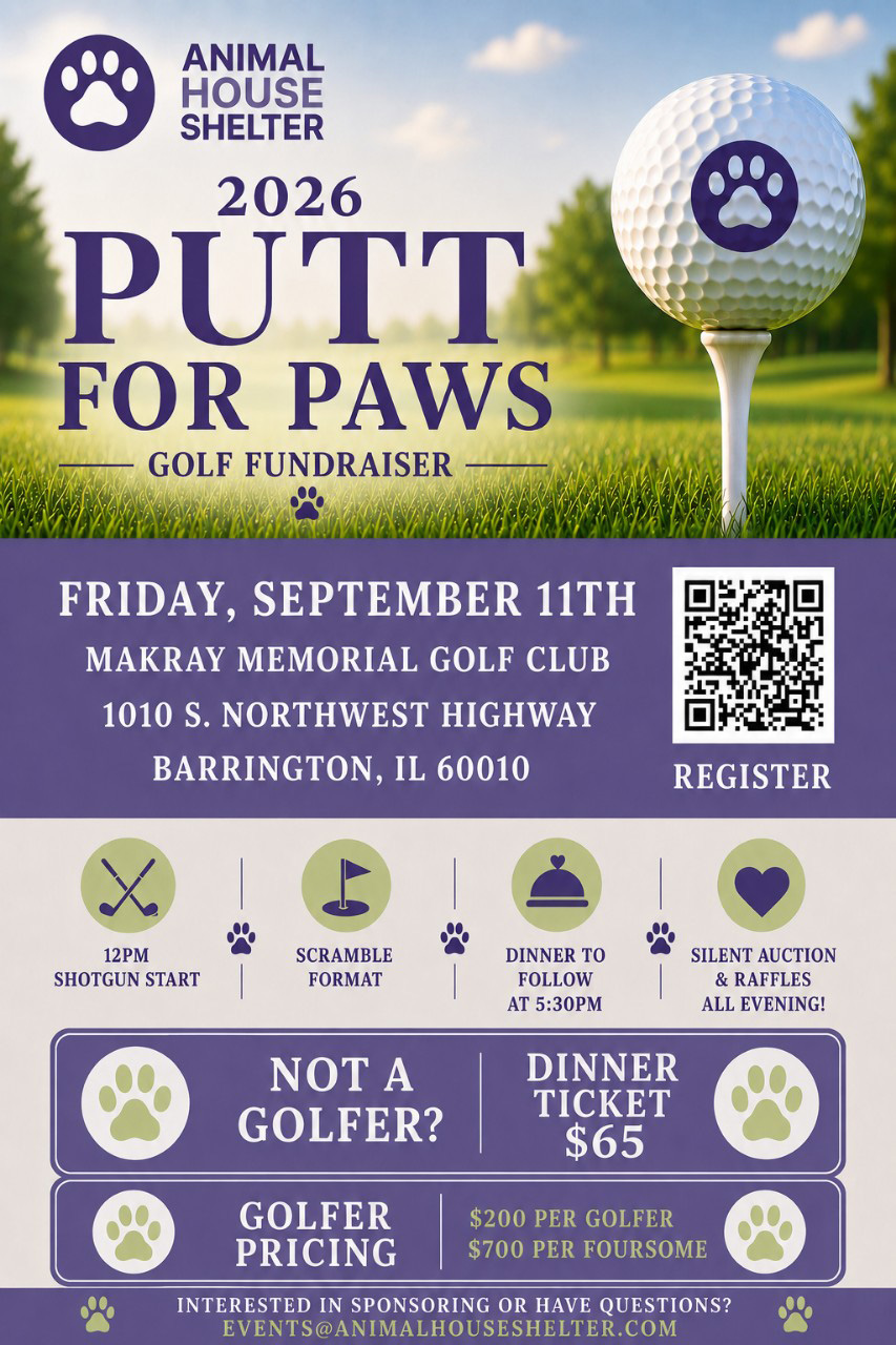 new golf flyer