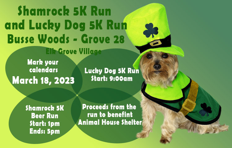 Lucky dog animal sales house