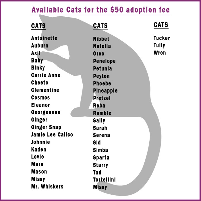 list flat cats july v3
