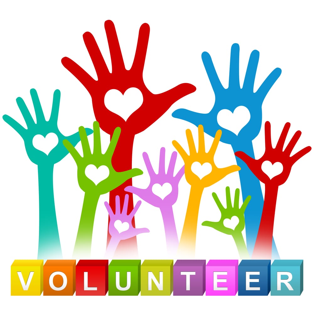AHS Donation Drive/Volunteer Meeting 12/22/18 | Animal House Shelter
