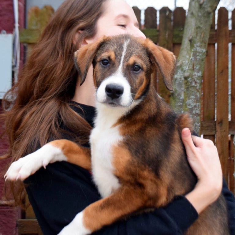 Tyler Animal House Shelter