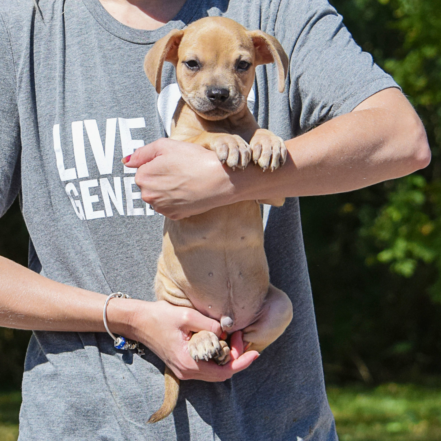 Flounder Animal House Shelter