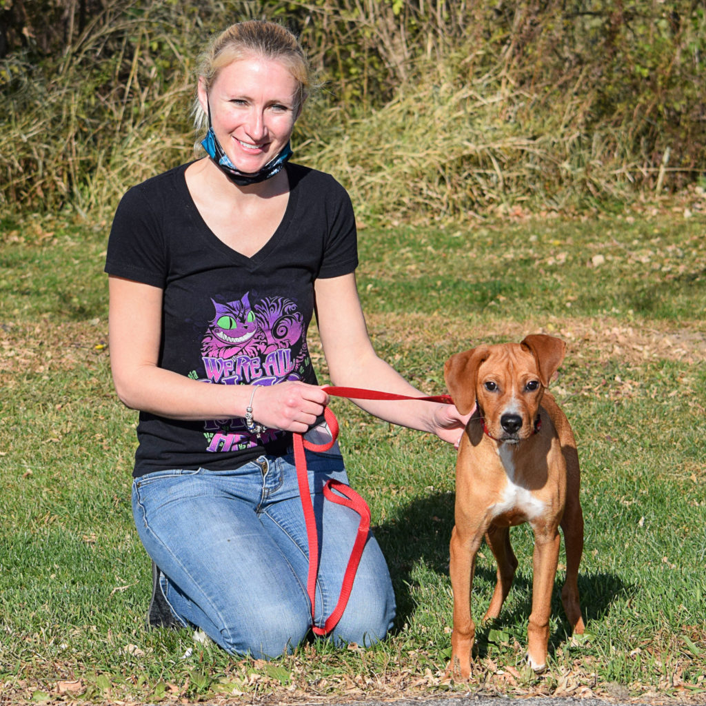 Toby Animal House Shelter