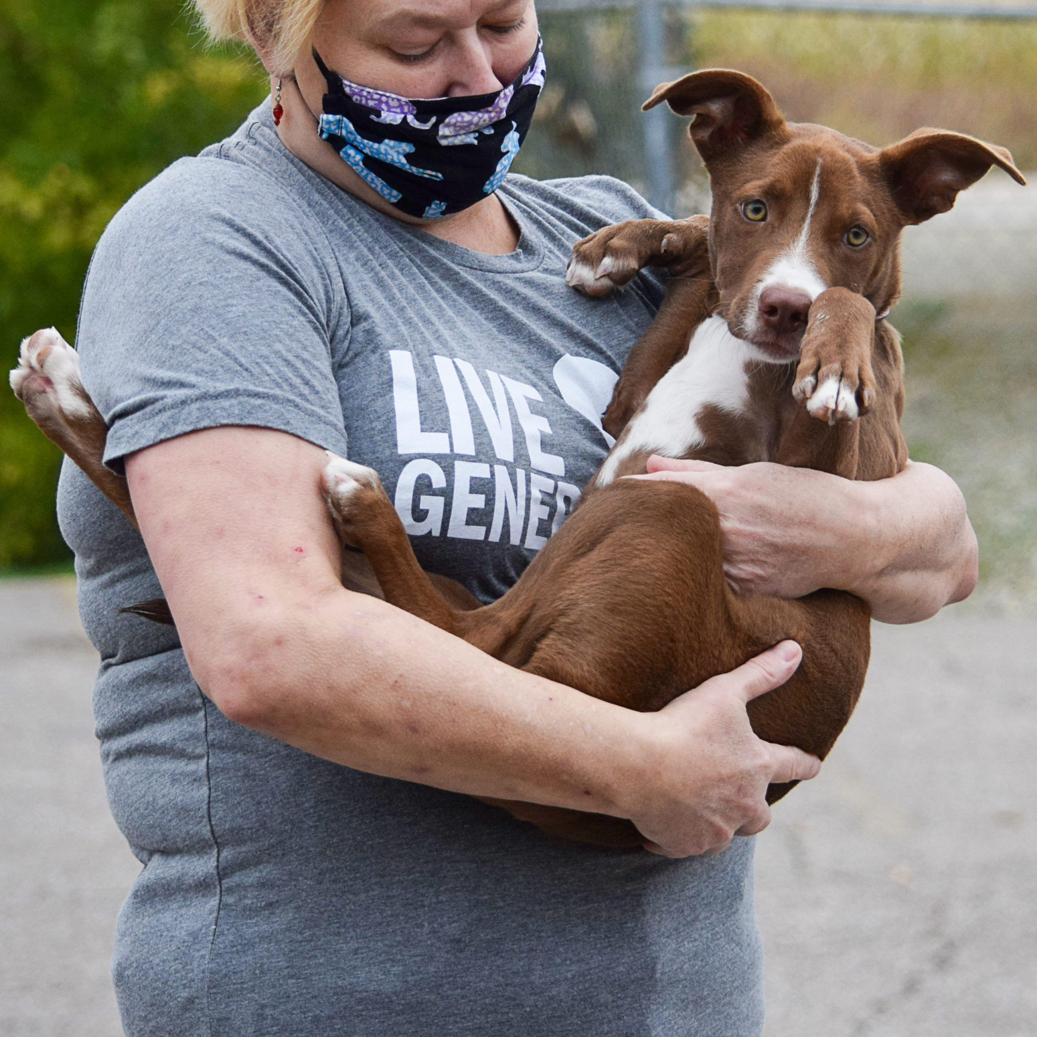 Helena Animal House Shelter