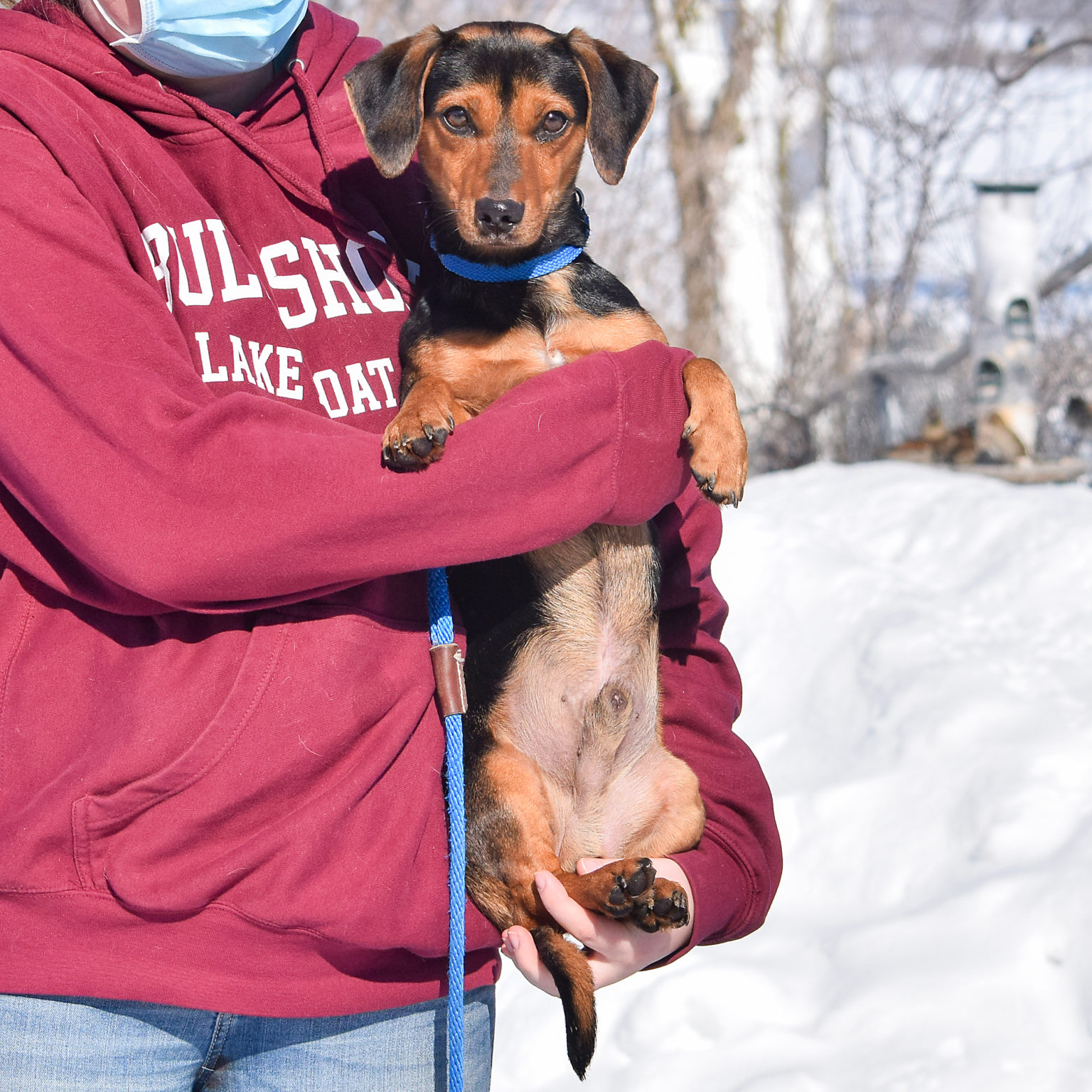 Lodi Animal House Shelter