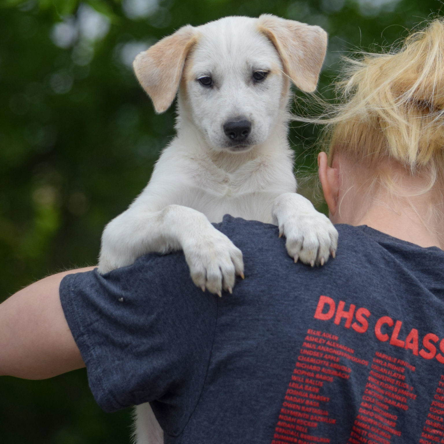 Helena Animal House Shelter