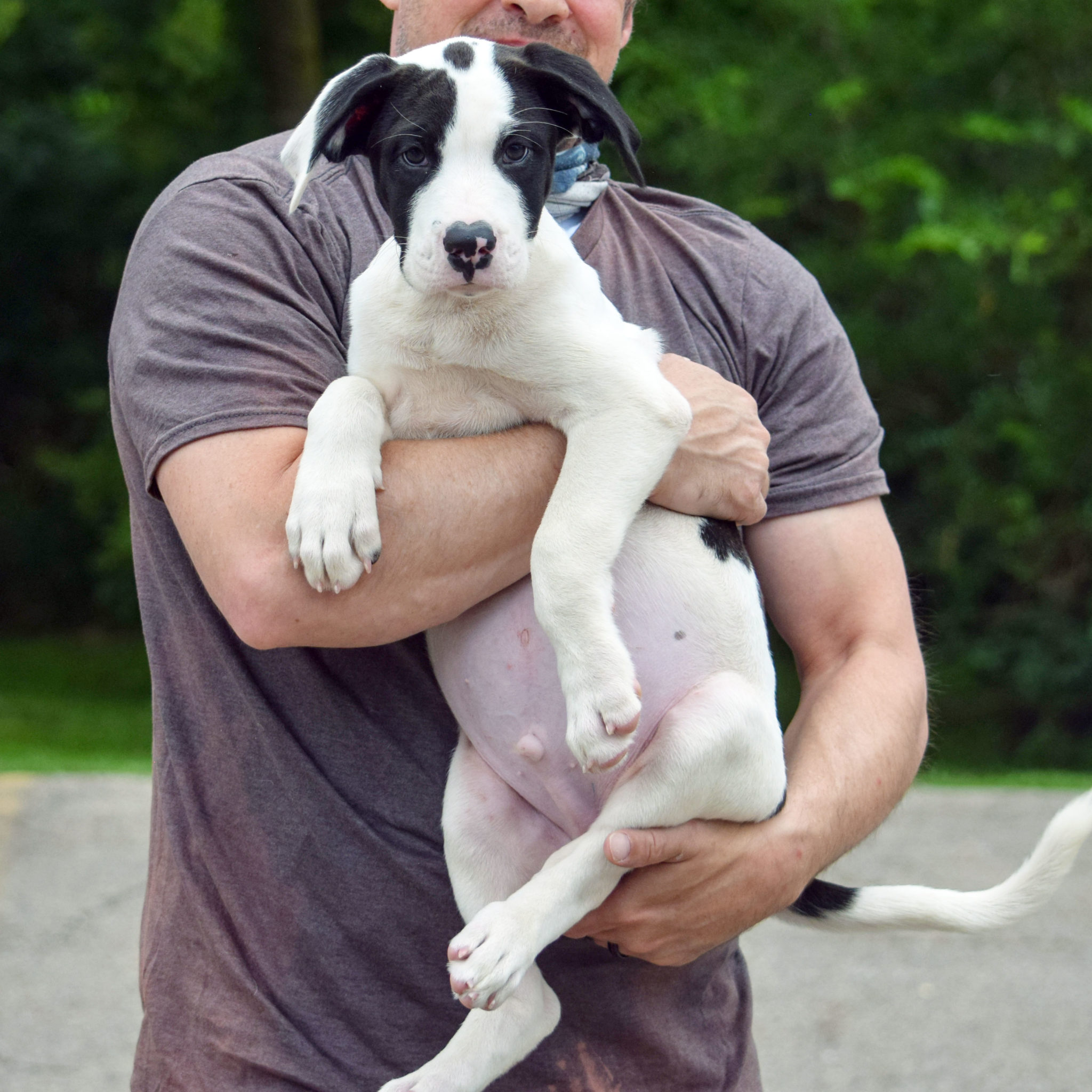 Parker Animal House Shelter