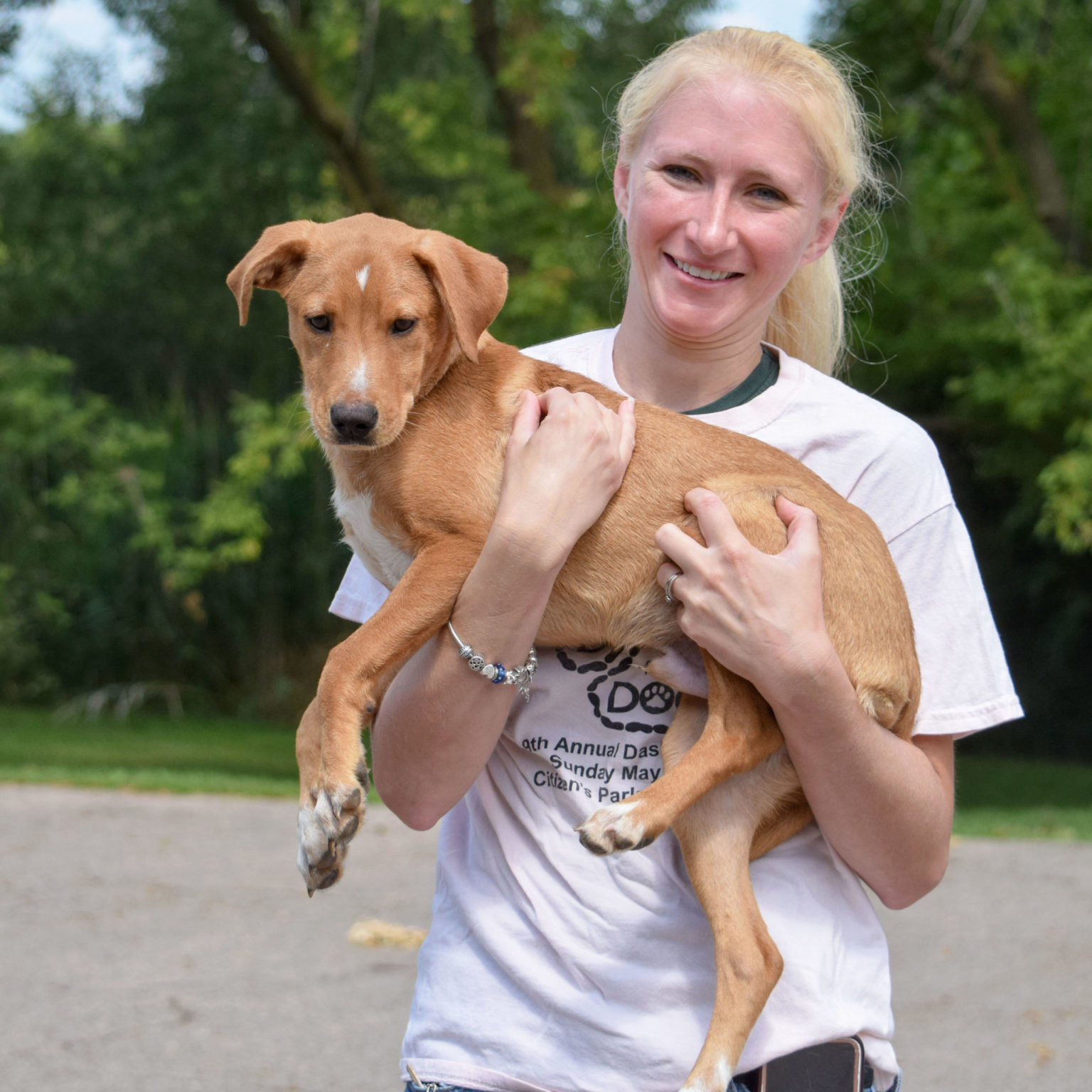 Yankee Doodle Animal House Shelter