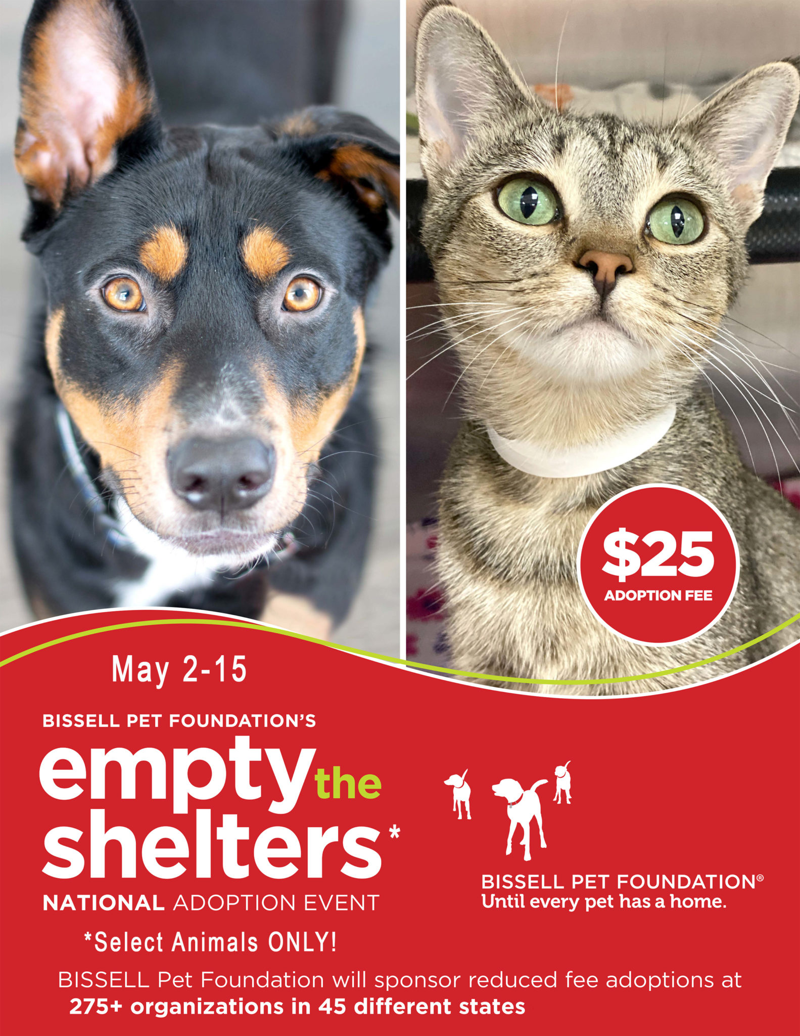 Bissell Pet Foundation's Clear the Shelters Animal House Shelter