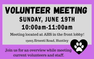 Volunteer Meeting 06/19/2022