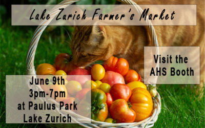 Lake Zurich Farmer’s Market June 9, 2023
