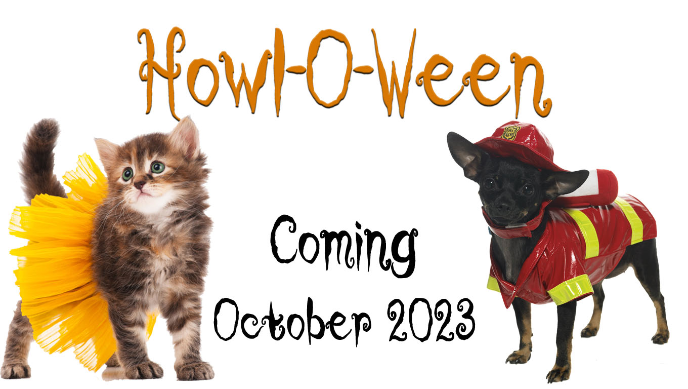 howloween web page v1
