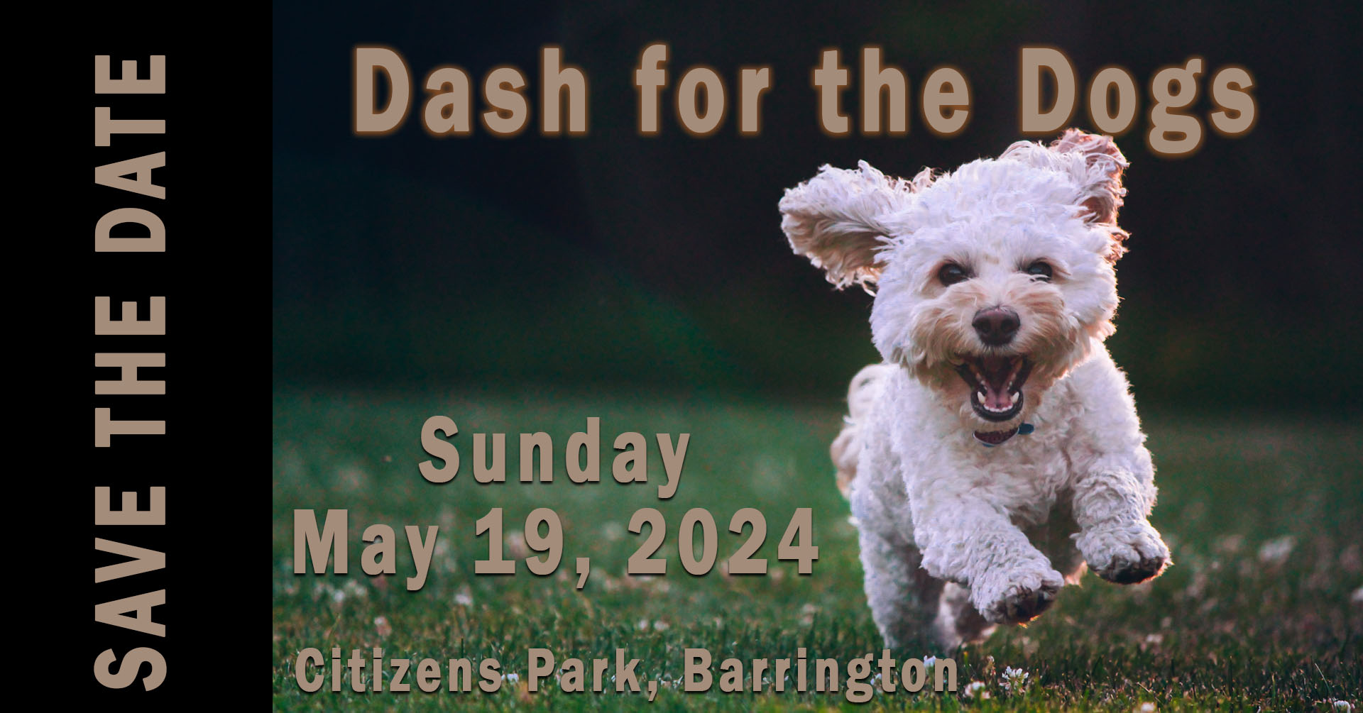 Dash save the date FB layers v2