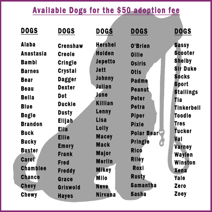 list dogs july v4