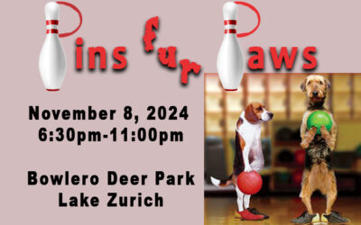 Pins Fur Paws Bowling Fundraiser Nov. 8, 2024