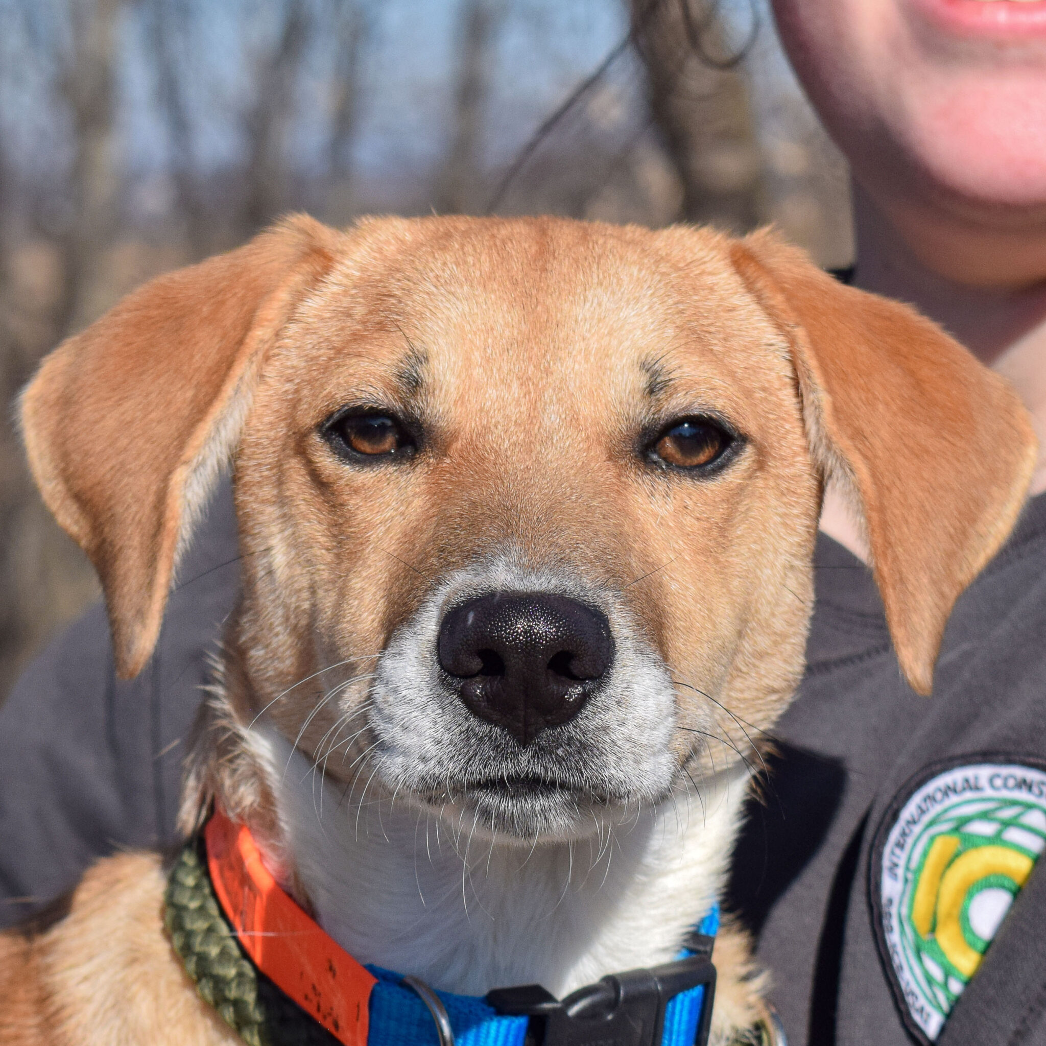 Beth - Animal House Shelter