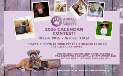 2025 AHS Calendar Contest March 20-October 20, 2024