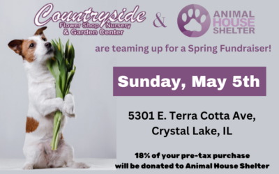 Countryside Flower Shop Fundraiser May 5th, 2024