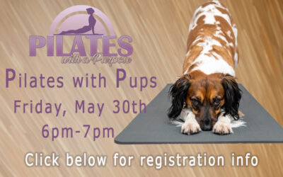 Pilates with Pups May 30, 2025