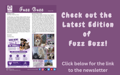 Summer Edition of the Fuzz Buzz Newsletter