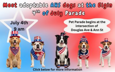 Elgin 4th of July Parade July 4th 2026