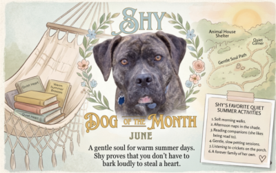June 2026 Dog of the Month