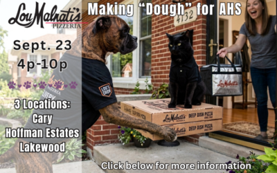 Lou Malnati’s Dine to Donate Sept. 23, 2026