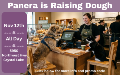 Panera – Raising Dough Nov. 12, 2026