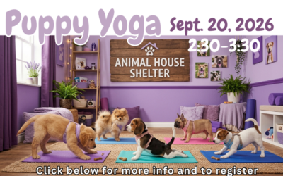 AHS Puppy Yoga Sun., Sept. 20, 2026