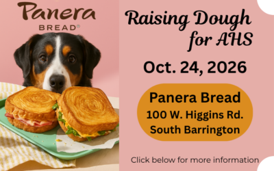 Panera – Raising Dough October 24, 2026