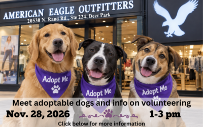 American Eagle Meet Adoptable Dogs Nov. 28, 2026