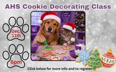 Cookie Decorating Class Dec. 11, 2026